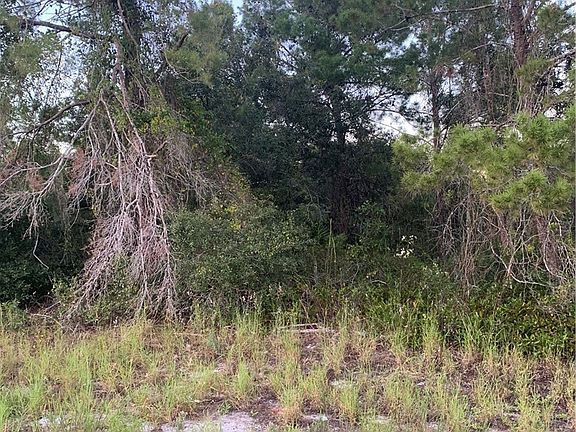4th image of 245 Loquat Rd NW
