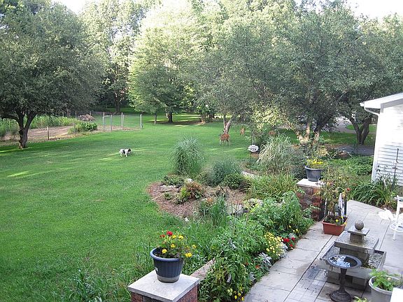 2nd image of 11075 Shadywood Dr