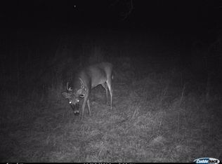 18 Manu St, Kula, HI 96790