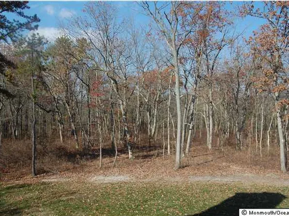 3 Curtins Cor, Millstone Township, NJ 08510