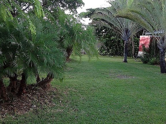 Portion of Front Yard