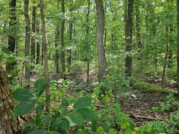 1450 Pork Rd, Peachland, NC 28133