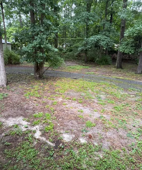 12551 Parker Ln — Photo 12