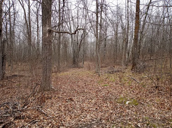 00 County Road 1 SW, Pine River, MN 56474