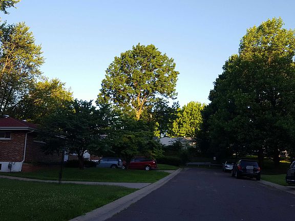 4th image of 9118 Trefore Ave