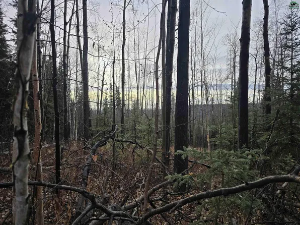 L3b2 Hillary Ave, Fairbanks, AK 99709