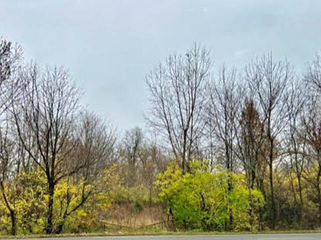 2nd image of 7715 Michigan Rd