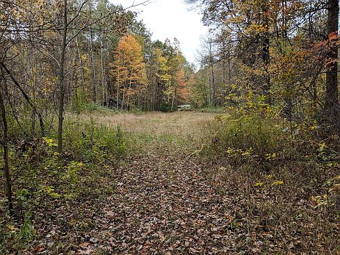 Looking West towards cabin