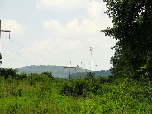 4th image of 86.35 Acres E Cole Road