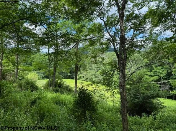 36-38 49 Hawthorne Valley Dr, Slatyfork, WV 26291