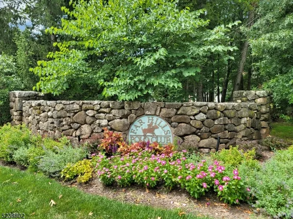 3 Chukka Way, Far Hills Boro, NJ 07931