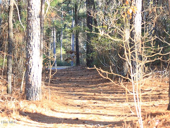 5th image of 30080 Loblolly Court LOT 46