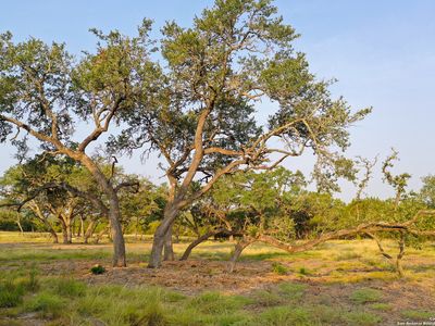 730 Kline Pass LOT 52, Bulverde, TX, 78163