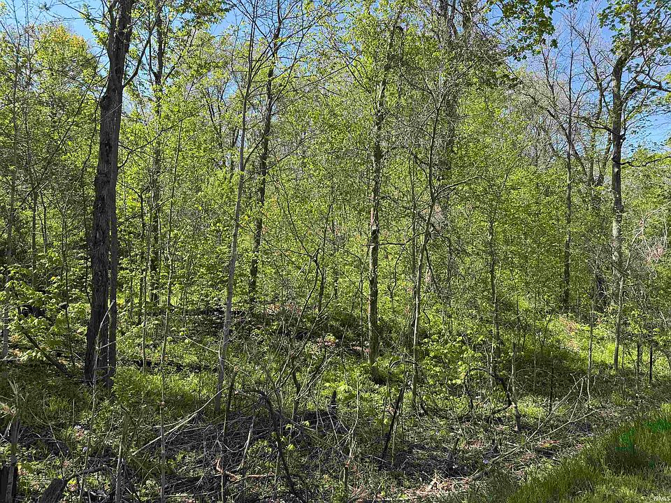 1st image of Cleveland Rd