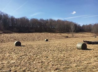 Trinity Church Rd, Lisbon, OH 44432