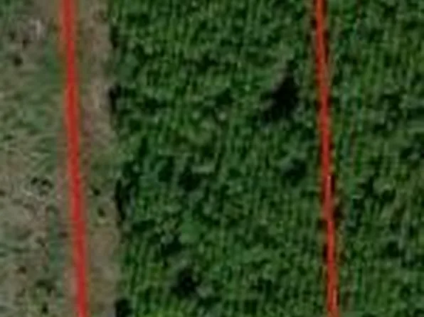 172489 ANDREWS Road, Hilliard, FL 32046