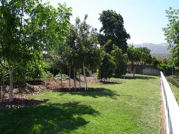 Garden and Fruit trees