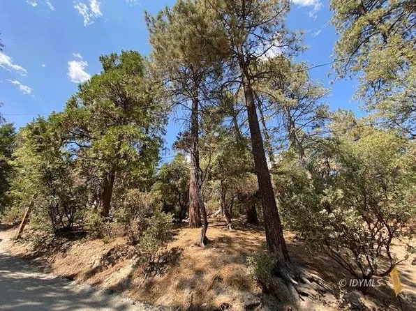 Starlite Ln, Idyllwild, CA 92549