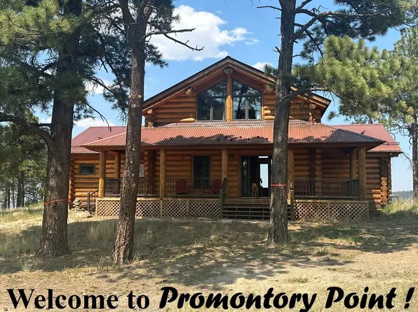 135 Canyon Rim Loop, Placerville, CO 81430
