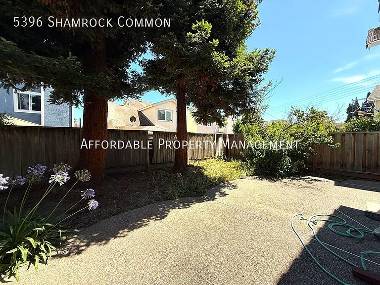 5396 Shamrock Cmn — Photo 24
