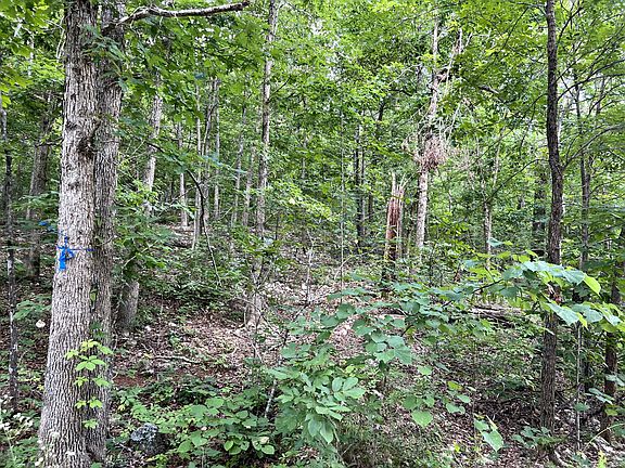 3rd image of Lot 45 Private Road Ridge Haven