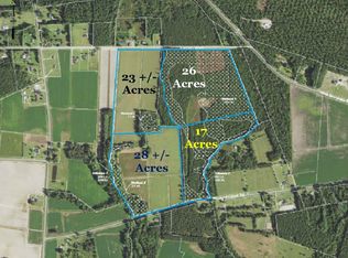2650 Pleasant Grove Rd, Loris, SC 29569