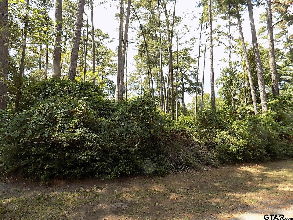 1st image of Bent Horseshoe Holly Lake Rnch