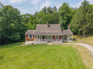 9248 Holmes Rd, Springwater, NY 14560