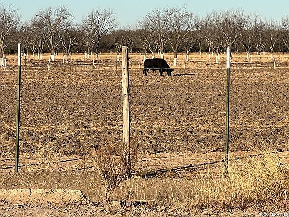 4th image of LOT A FM 1908
