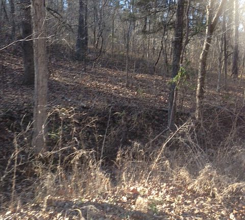 great place for driveway