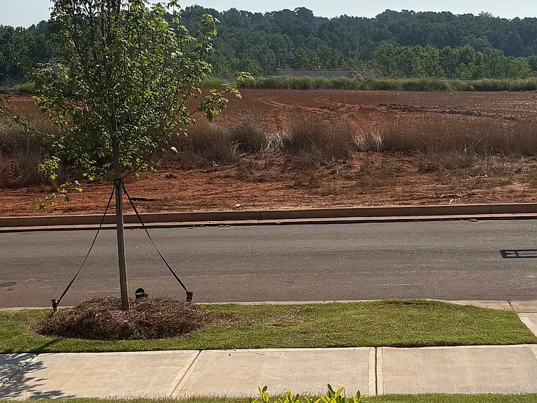 Barred Owl Rd — Photo 21