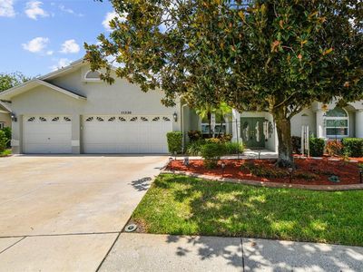 11230 Bloomington Dr, Tampa, FL, 33635