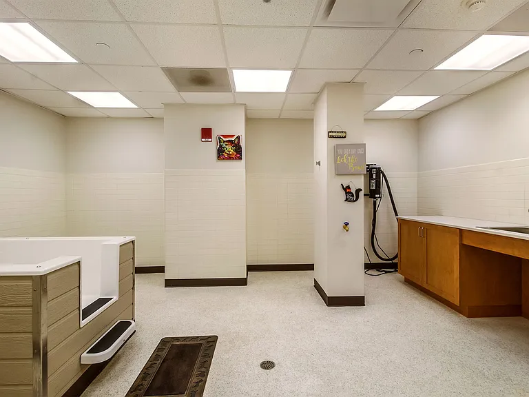 Strathmore Apartments — Photo 15