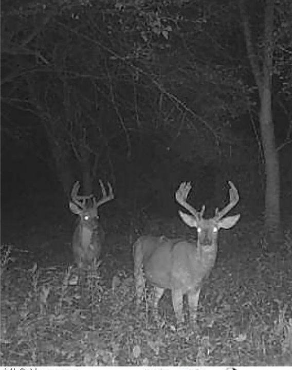 2nd image of Bandy Rd