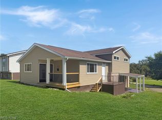 314 Petrick Ave, Mingo Junction, OH 43938