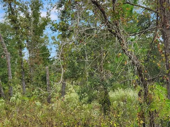 0 Fisher Lane Way #25, Ocklawaha, FL 32179