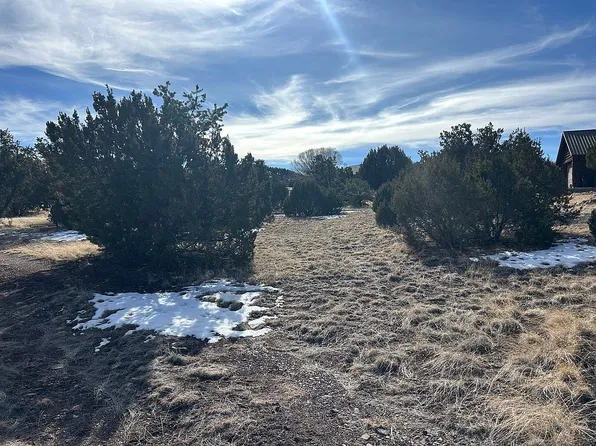 457 W Benny Jay Ln Lot 9, Eagar, AZ 85925