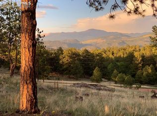 25 Cherokee Dr, Florissant, CO 80816