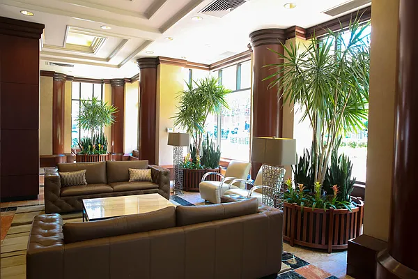 Rented by The Monterey | media 33