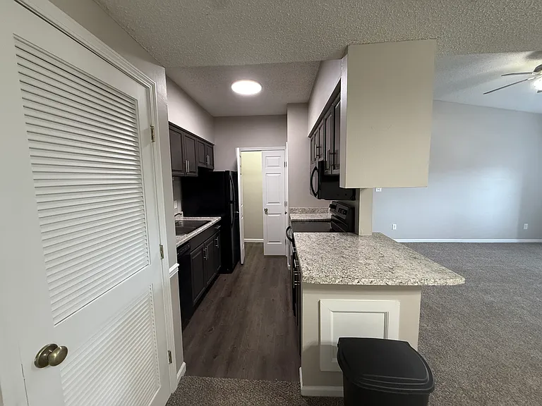 Lake Shore Apartments — Photo 49