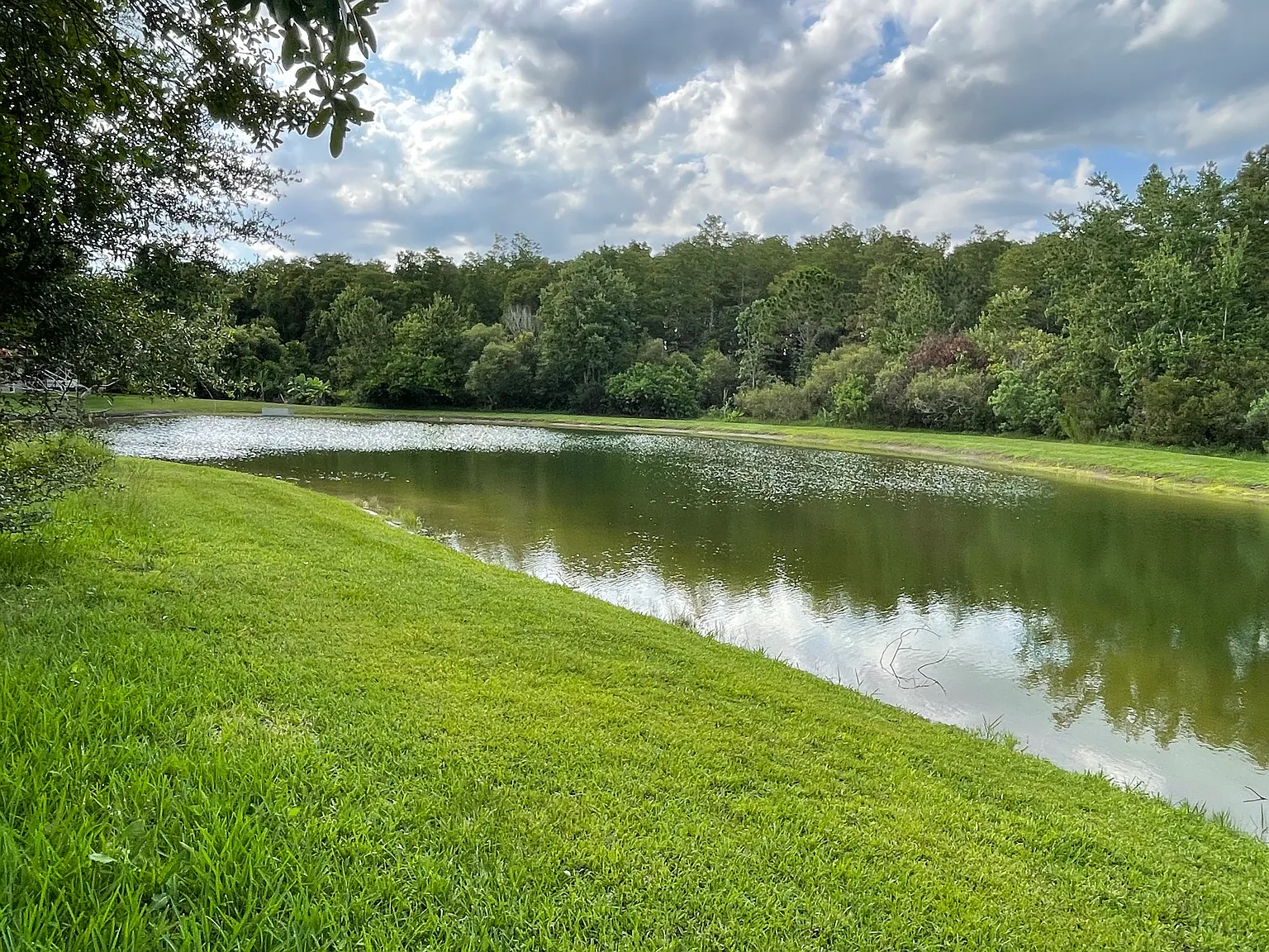 4 bed, 2.5 bath, 3069 sqft, $2,600 — Photo 3