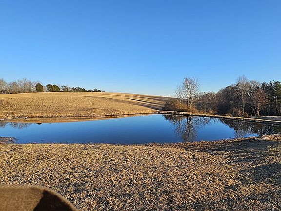 4th image of 146 Paxton Rd