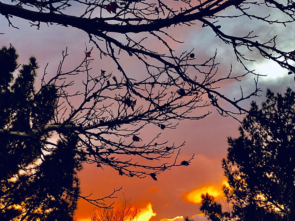 Beautiful sunset views 