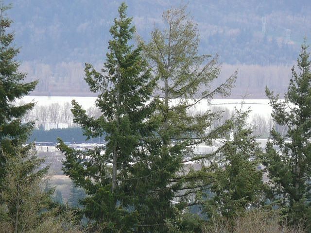 View of River