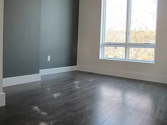 Rented by P Management