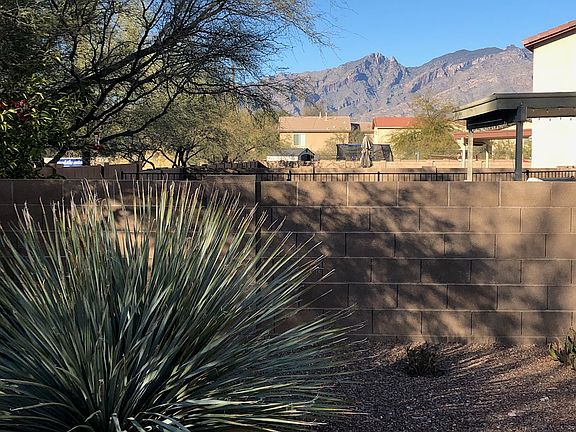 Backyard_05022022