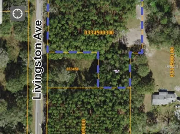 18517 Livingston Ave, Lutz, FL 33559