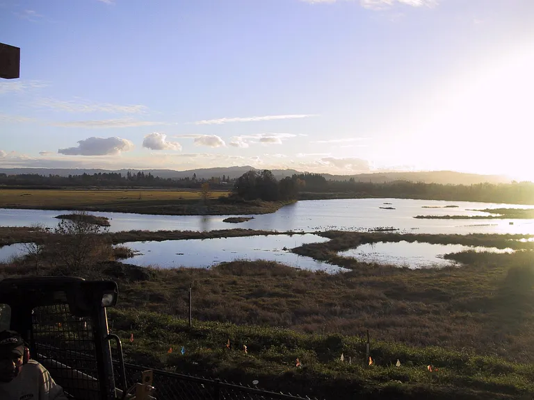 beautiful wide open view of wetlands across the street from