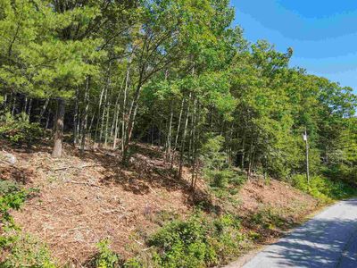 0 Chalk Pond Road UNIT 1 on plan 5756, section IV, Newbury, NH, 03255