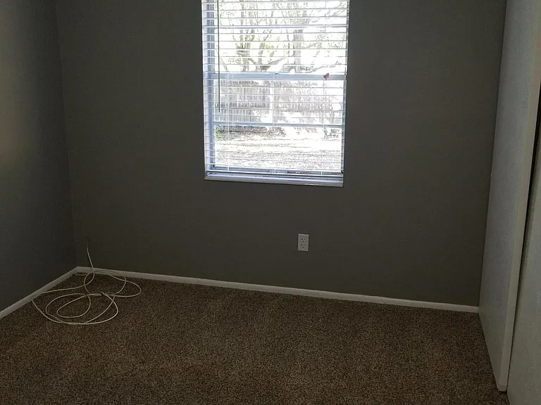 3209 W Lutz Lake Fern Rd — Photo 26